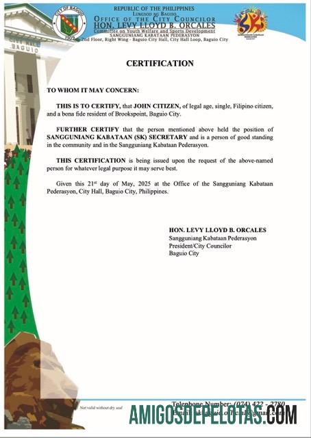 Certificado realista de boa reputação das Filipinas, modelo Word e PDF, versão 8